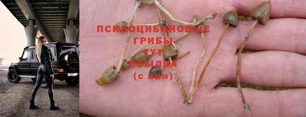 мдпв Лиски