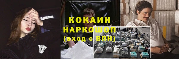 мдпв Лиски