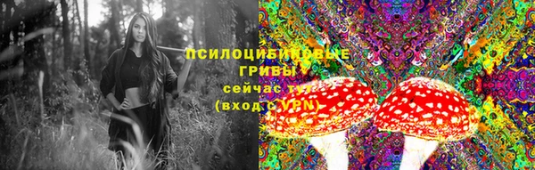 мдпв Лиски