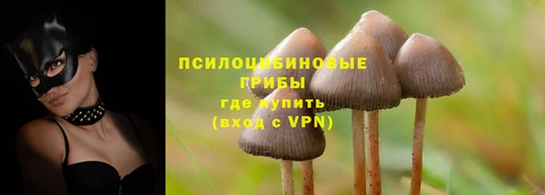 мдпв Лиски