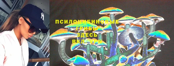 мдпв Лиски
