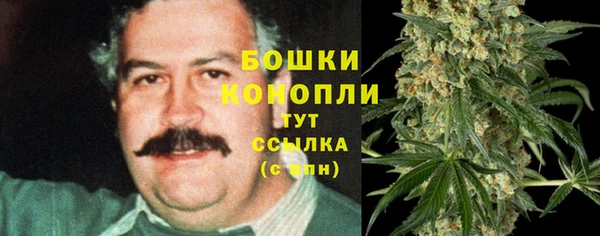 мдпв Лиски