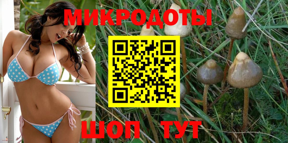 Галлюциногенные грибы Psilocybine cubensis Благовещенск