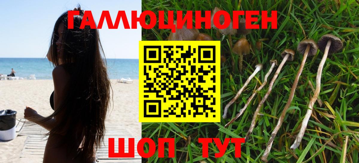 Галлюциногенные грибы Psilocybine cubensis  Вход с VPN  Галлюциногенные грибы MAGIC MUSHROOMS  Благовещенск 