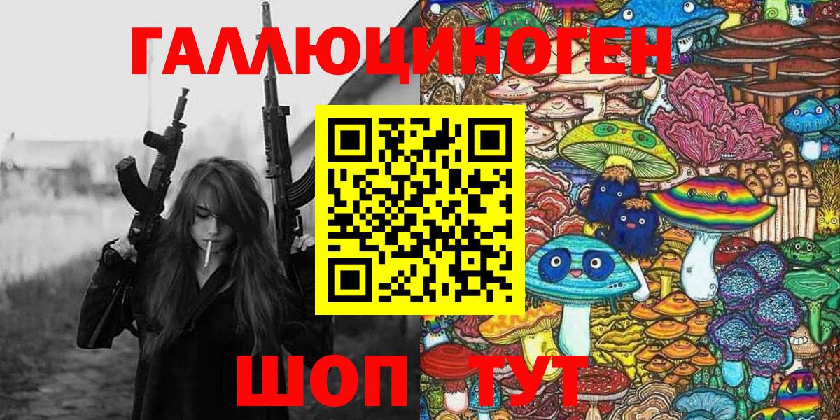Галлюциногенные грибы Psilocybe Благовещенск