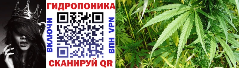 Конопля OG Kush  Благовещенск 